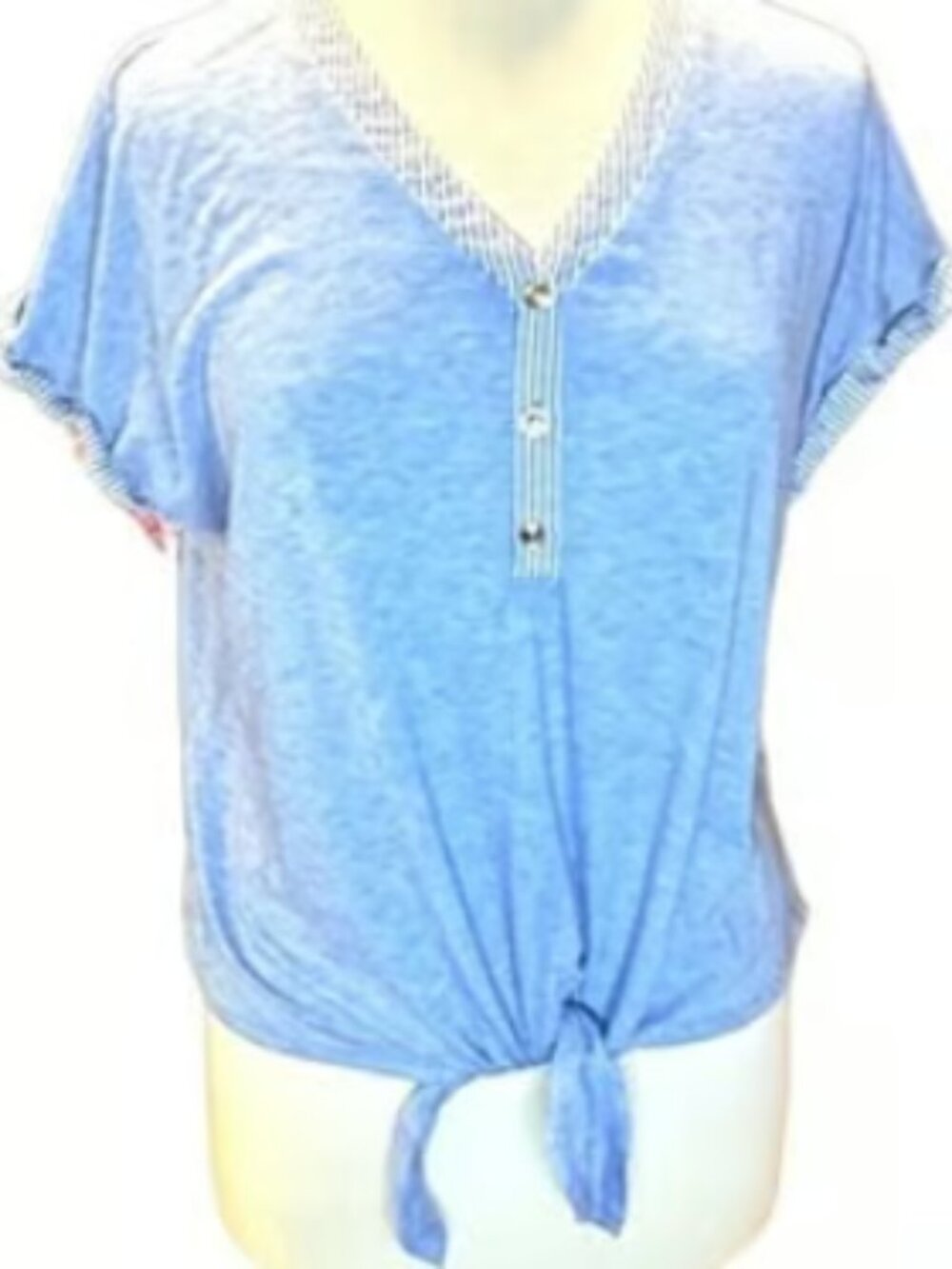 Parellel Skies Short Sleeve Blue Top Lightweight V-neck Stretchy Blouse Basics